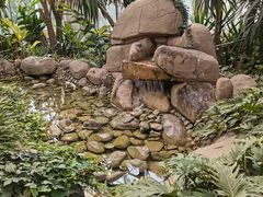 -南宫五洲植物乐园