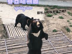 -青岛森林野生动物世界