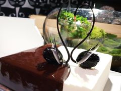 -BLACKSWAN黑天鹅(环球店)