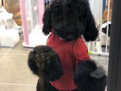 -萌兽医馆·眼科·异宠专科(三里屯店)