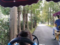 -上海长兴岛郊野公园