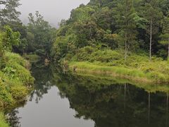 -海南热带雨林国家公园吊罗山景区