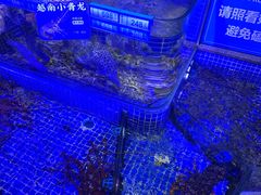 -青蓬蒸汽海鲜·深圳老字号·团建聚会(壹方城店)