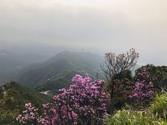 -梧桐山风景名胜区