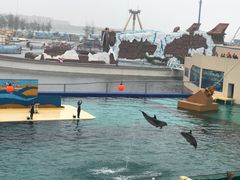 -秦皇岛乐岛海洋王国