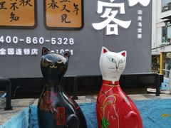 -猫街饭团(顶澳仔猫街店)