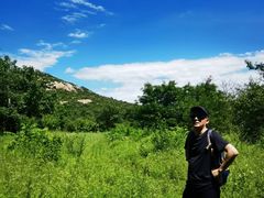 -白水寺森林公园