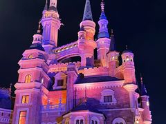 -上海迪士尼度假区