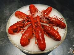 -红盔甲·小龙虾(人民广场店)