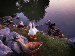-玄武湖景区-情侣园游乐场
