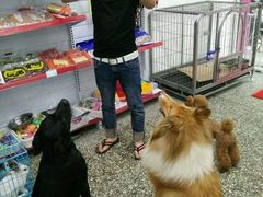 android_upload_pic-帅帅宠物生活馆(三元路店)