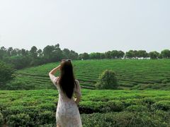 -游子山休闲旅游区