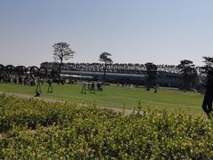 -迪茵湖田家舍生态农场