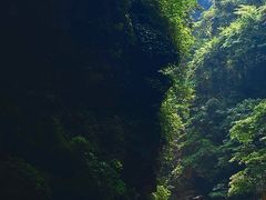 -碧峰峡风景区