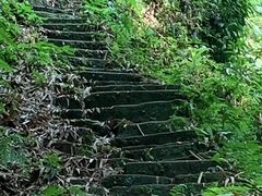 -芦沟竹海