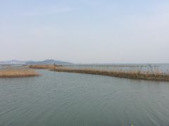 -新木器时代餐厅(太湖新天地店)