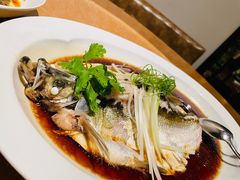 -宁波柏悦酒店·钱湖渔港