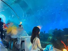 -涛·海底餐厅·美人鱼·自助餐·海底隧道(三亚海棠湾洲际度假酒店)