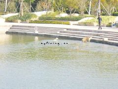 -新江湾城公园