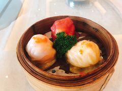 美兰虾饺皇-安蒂娅.悦景轩中餐厅(西乡店)