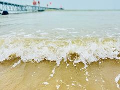 -日照海滨国家森林公园