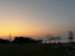 -瑶湖郊野森林公园