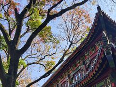 -灵谷景区