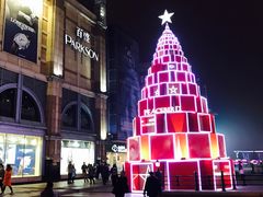 -人民防洪胜利纪念塔