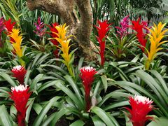 -北京植物园-展览温室