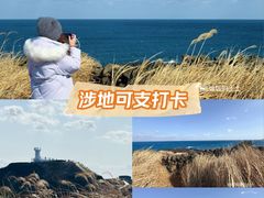 -涉地可支