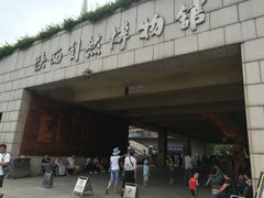 -陕西自然博物馆