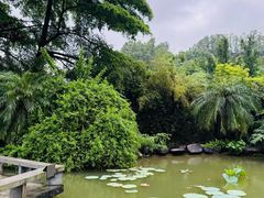 -广州神农草堂中医药博物馆