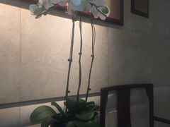 -世贸君澜·云天阁自助餐厅