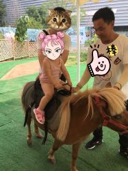 -萌宠亲子动物乐园(槐房万达店)