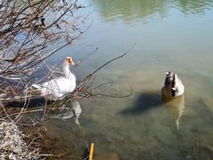 -比格比萨自助(云冈区步行街店)