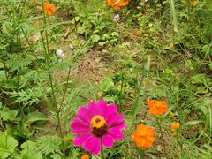 -永定河休闲森林公园