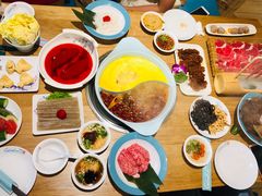 -青瓷火锅料理(西单大悦城店)