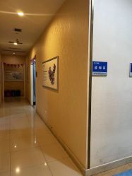 -碧莲盛·不剃发植发