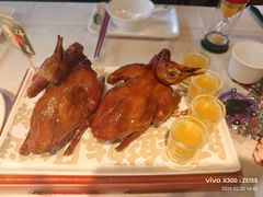-大鸽饭(动物园店)
