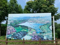 -田园东方蜜桃村的田野营地