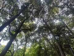 -灵顺寺