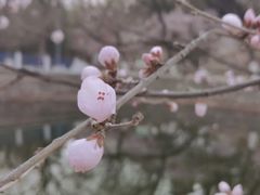 -满都海公园