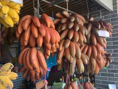 -南沙十九涌渔人码头-南门