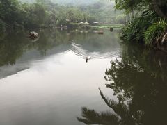 -呀诺达热带雨林