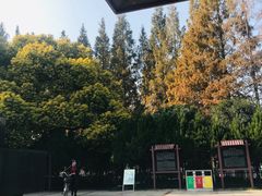 -郑和公园