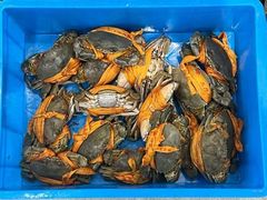 -杨记海鲜楼(三门黑金冠店)
