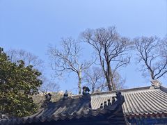 -青岛崂山太清宫
