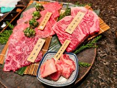 -老乾杯(深圳湾万象城店)