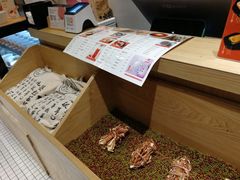 -炖物24章·顺时轻养茶(杭州保利时光里店)