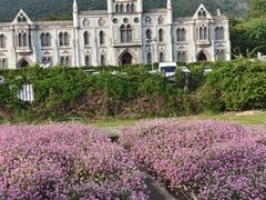 -玫瑰海岸文化旅游度假区